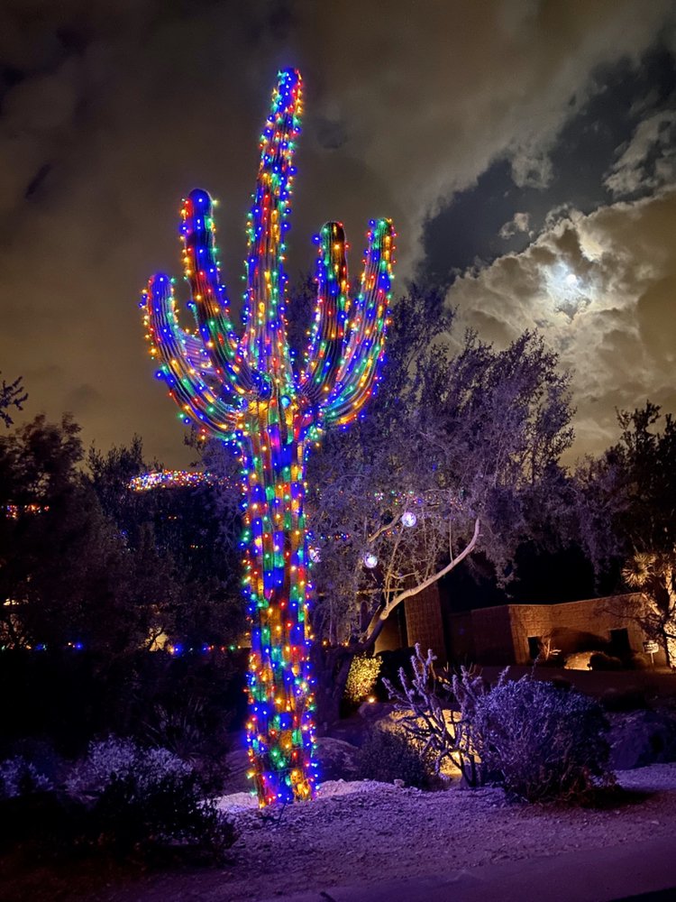 Saguaro cactus wrapped in multicolor Christmas lights at night in Phoenix, Arizona
