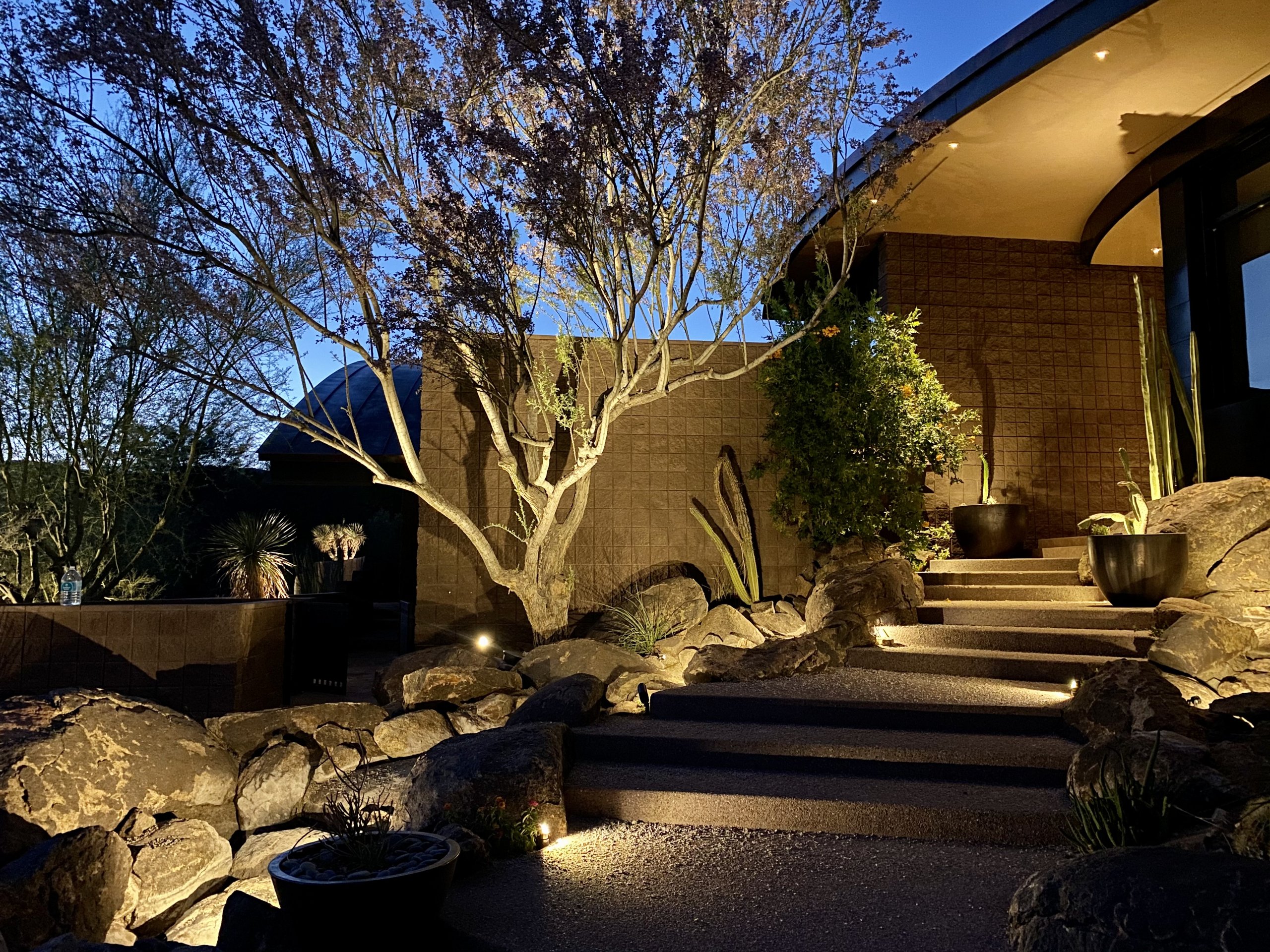 Desert landscape lighting with path lights and tree uplighting along stone steps at a Phoenix home at dusk