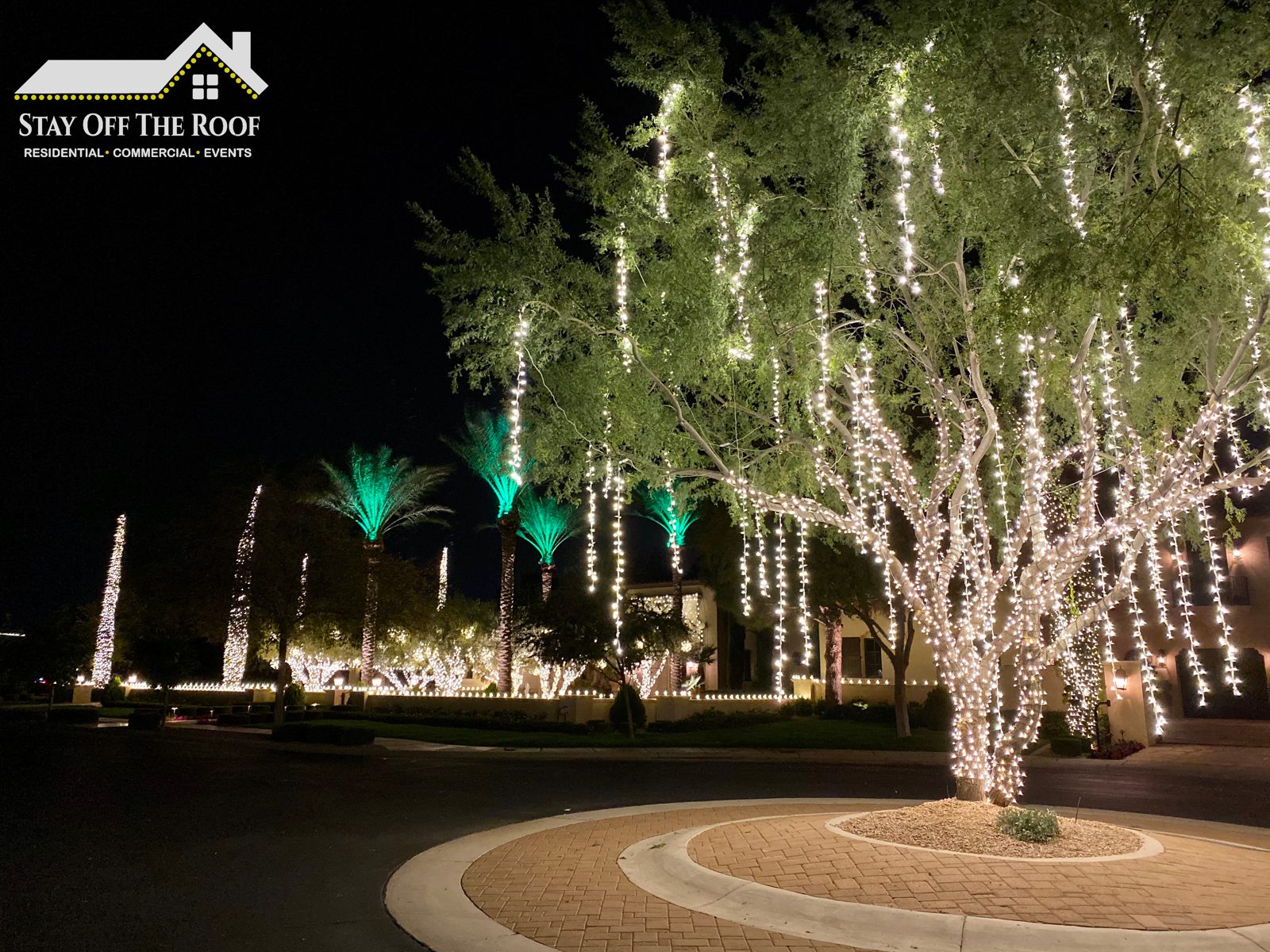 Trees wrapped in warm white mini lights along a Phoenix driveway by Stay Off The Roof