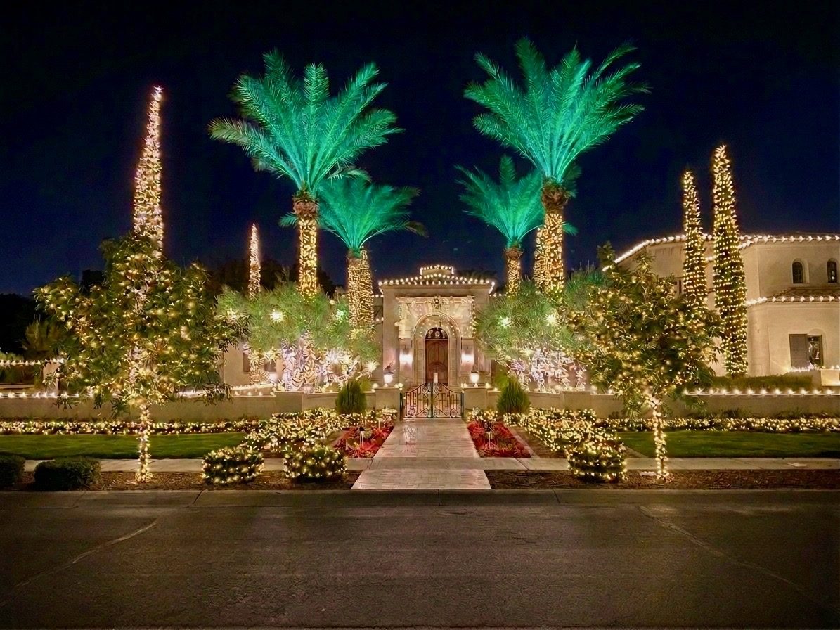Holiday lighting install on a Phoenix estate with green-lit palms and warm white trees