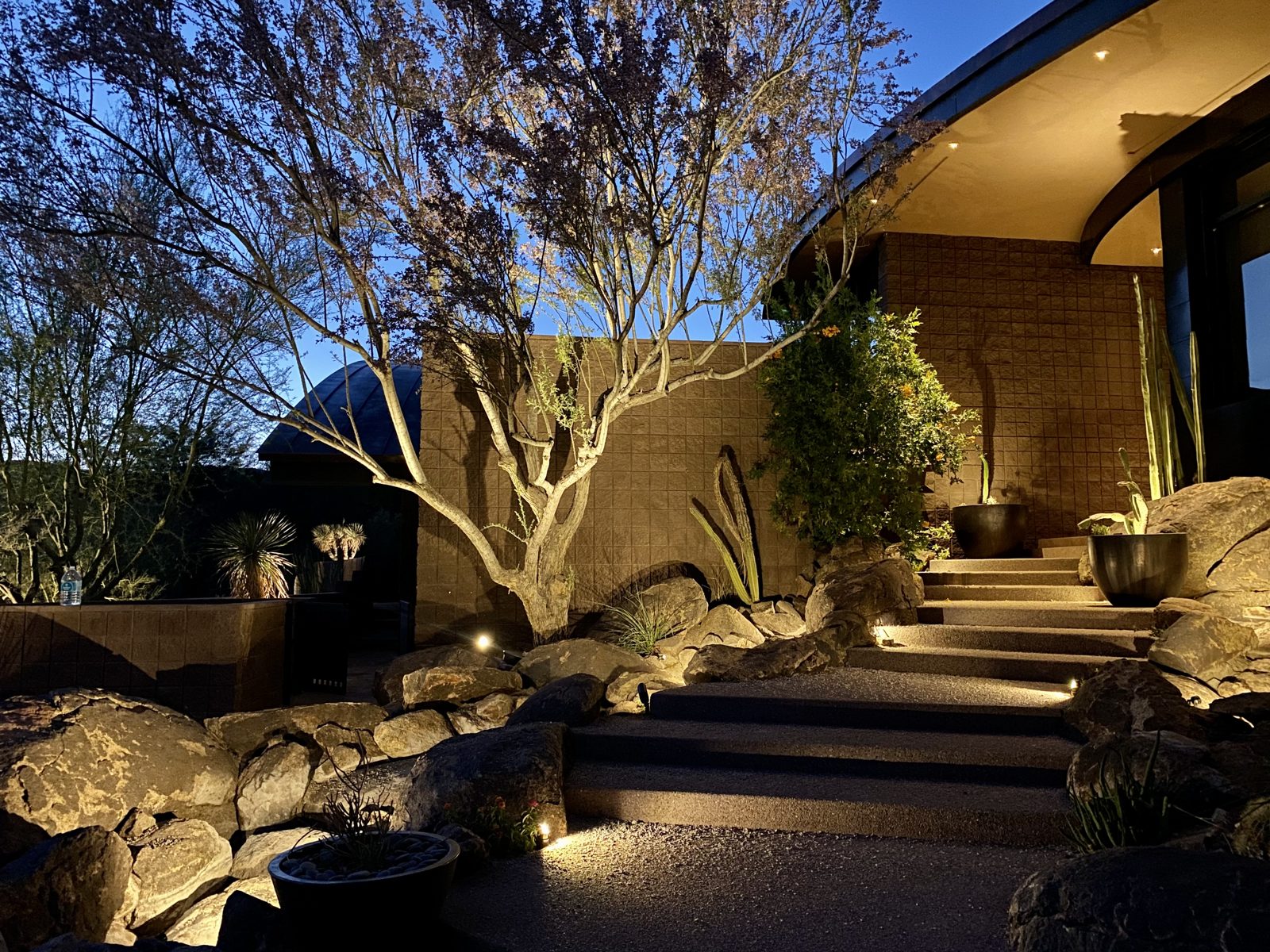 Uplit saguaro, boulders and desert steps at a Phoenix home at night