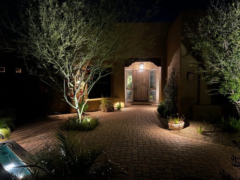 Uplit desert tree beside a paver entry courtyard at night