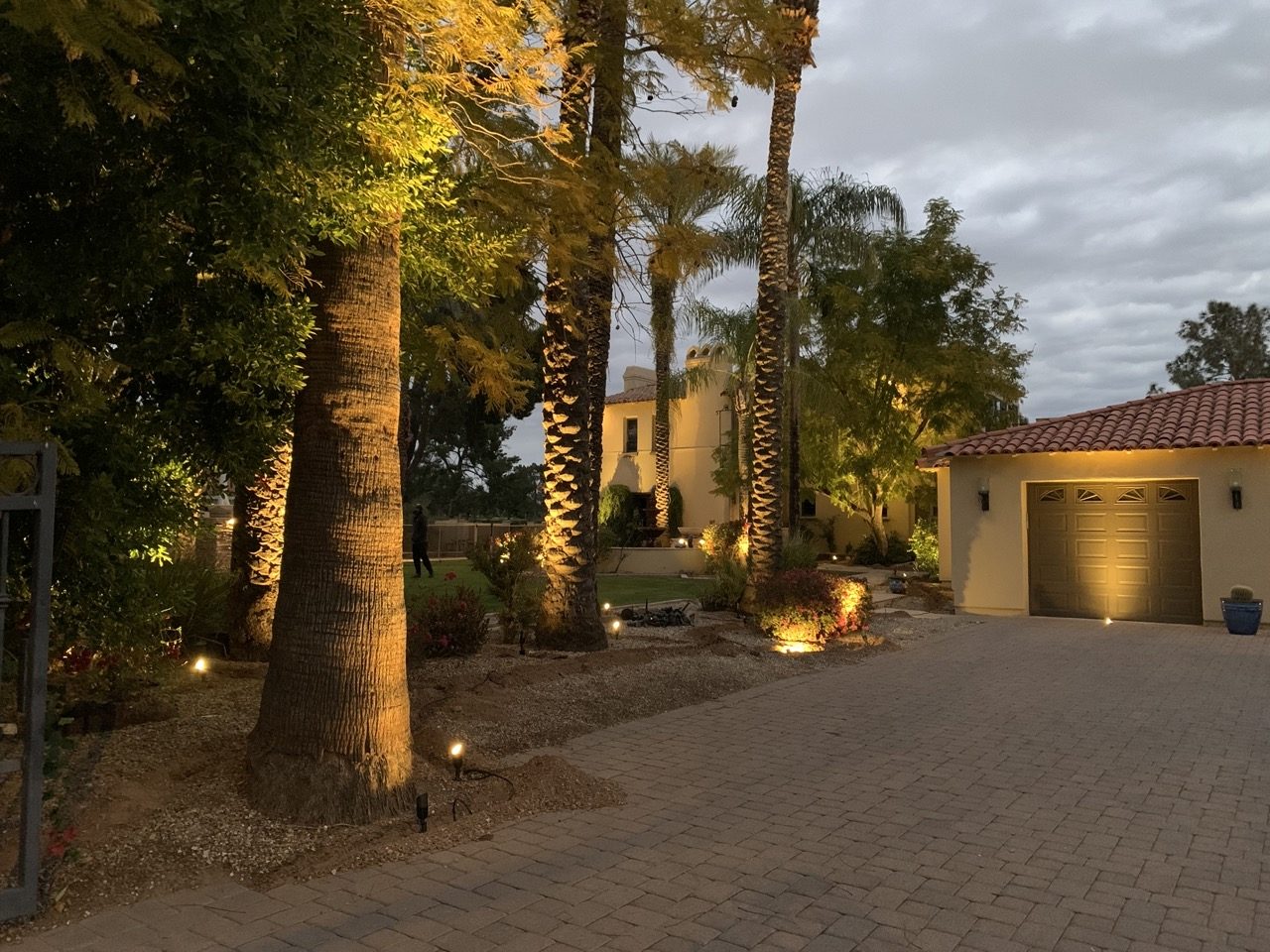 Uplit palms and trees along a long paver driveway on an acreage property