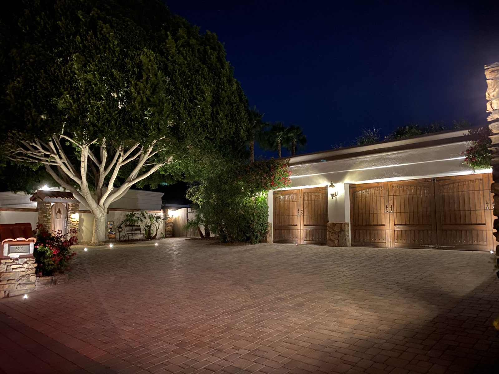 Mature tree uplit beside a driveway and lit garage on an established lot
